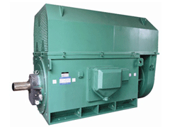 沙湖原种场Y系列6KV高压电机
