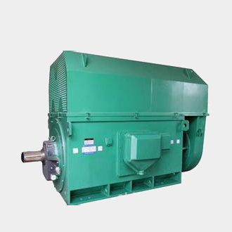 沙湖原种场Y7104-4、4500KW方箱式高压电机标准